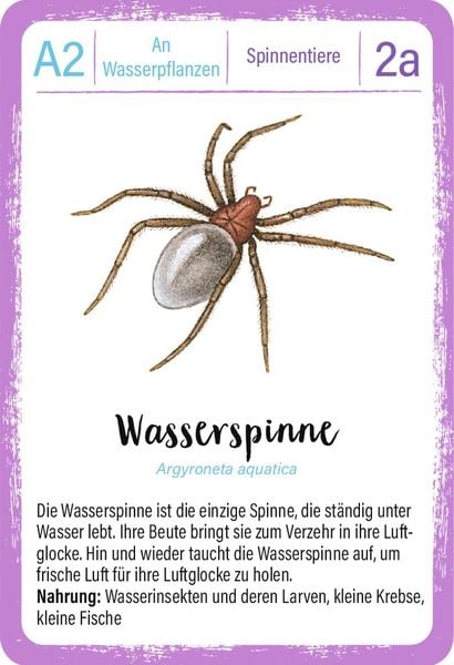 Produktbild: Expedition Natur Quartett Minimonster