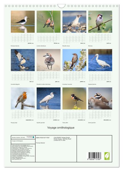 Produktbild: Voyage ornithologique (Calendrier mural 2026 DIN A3 horizontal), CALVENDO calendrier mensuel