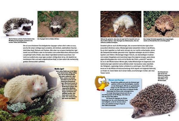Produktbild: Entdecke die Igel