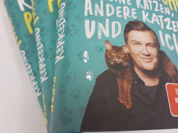 Pfoten vom Tisch!