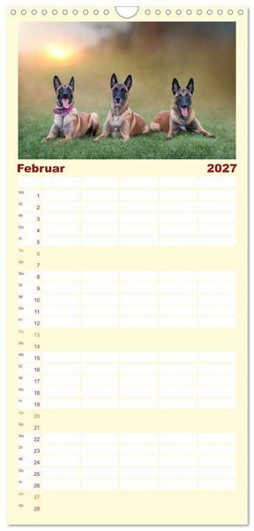 Produktbild: Familienplaner 2027 - Traumhund Malinois mit 5 Spalten (Wandkalender, 21 x 45 cm) CALVENDO