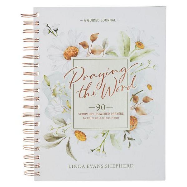 Produktbild: Praying the Word