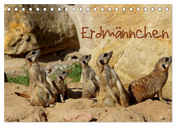 Produktbild: Erdm&auml;nnchen (Tischkalender 2026 DIN A5 quer), CALVENDO Monatskalender