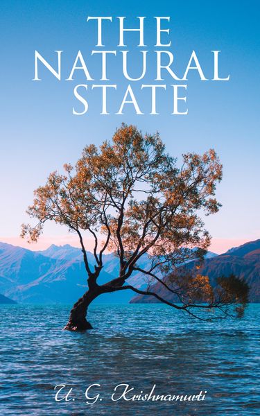 Produktbild: The Natural State