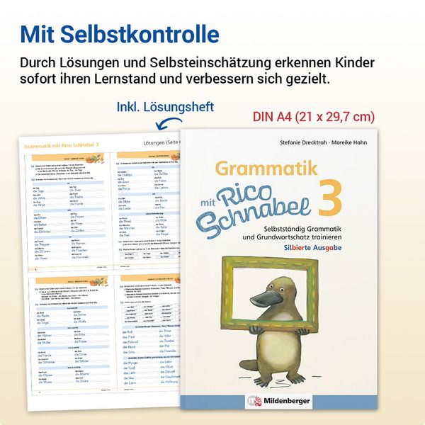 Produktbild: Grammatik mit Rico Schnabel, Klasse 3 - silbierte Ausgabe
