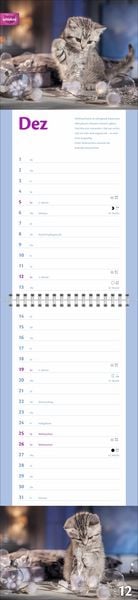 Produktbild: Whiskas Katzenleben Kalender 2027