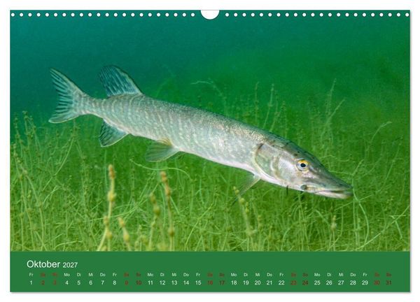 Produktbild: Faszination S&uuml;sswasser (Wandkalender 2027 DIN A3 quer), CALVENDO Monatskalender