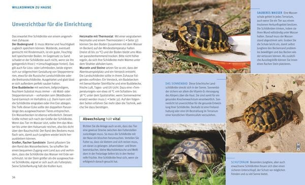 Produktbild: Landschildkr&ouml;ten