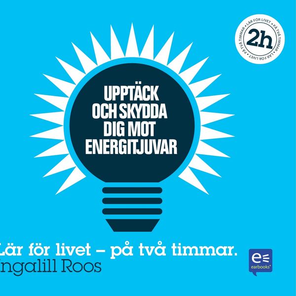 Produktbild: Uppt&auml;ck och skydda dig mot energitjuvar : P&aring; en timme