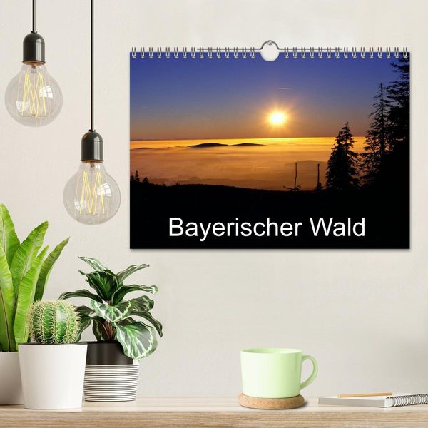 Produktbild: Bayerischer Wald (Wandkalender 2026 DIN A4 quer), CALVENDO Monatskalender