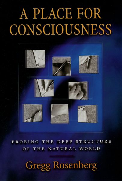 Produktbild: A Place for Consciousness
