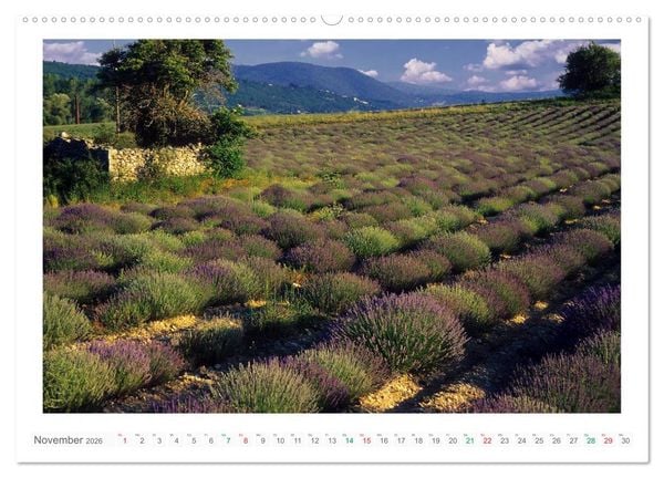 Produktbild: Farbenfrohe Provence (Wandkalender 2026 DIN A2 quer), CALVENDO Monatskalender