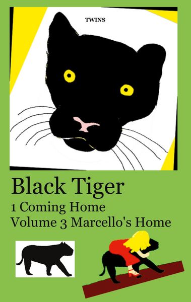 Produktbild: Black Tiger 1 Coming Home