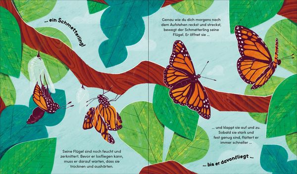 Produktbild: Aus klein wird gro&szlig;. So w&auml;chst ein Schmetterling