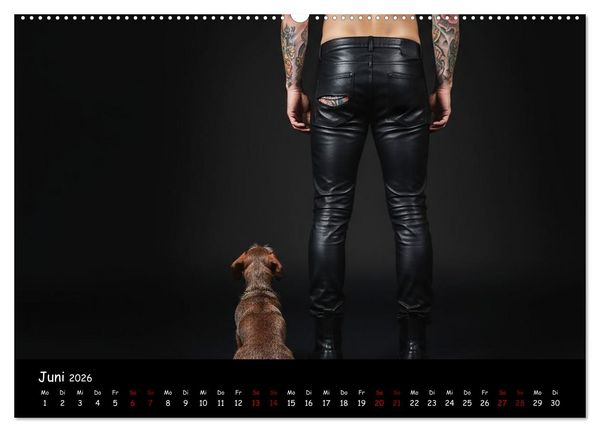 Produktbild: Coole Typen - Rauhaardackel (hochwertiger Premium Wandkalender 2026 DIN A2 quer), Kunstdruck in Hochglanz