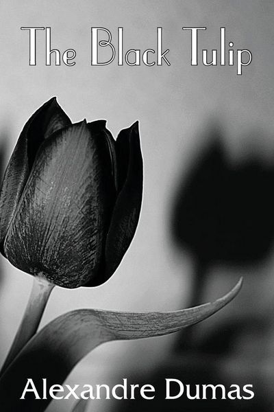 Produktbild: The Black Tulip