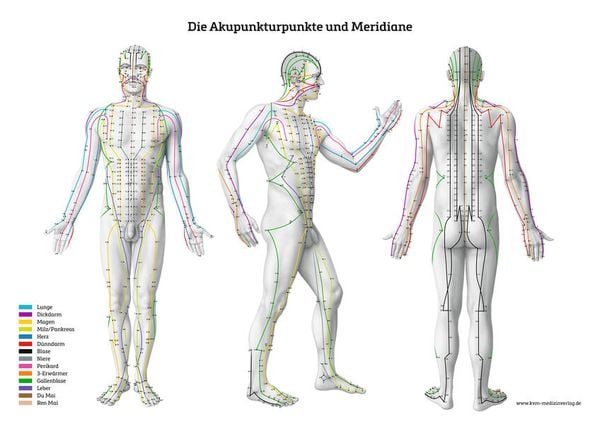 Produktbild: Lernposter &ndash; Die Akupunkturpunkte und Meridiane