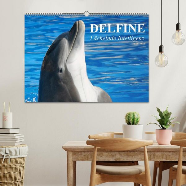 Produktbild: Delfine - L&auml;chelnde Intelligenz (Wandkalender 2026 DIN A2 quer), CALVENDO Monatskalender