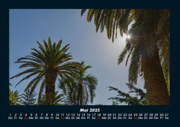 Produktbild: Palmentraum 2025 Fotokalender DIN A4