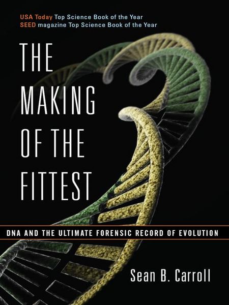 Produktbild: The Making of the Fittest