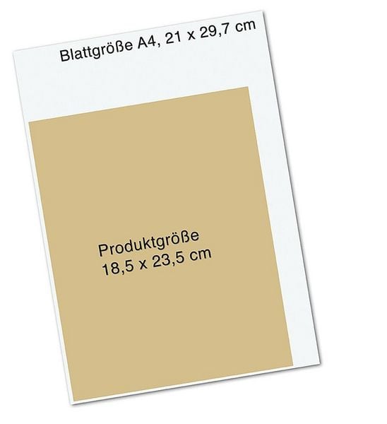 Produktbild: Was ist los in meinem K&ouml;rper?