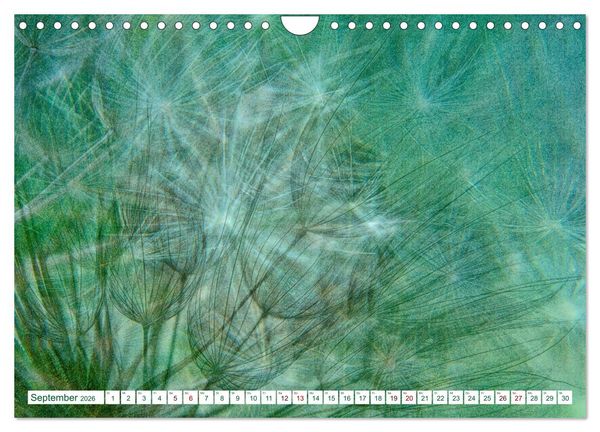 Produktbild: GR&Uuml;N . Die Kraft der Natur (Wandkalender 2026 DIN A4 quer), CALVENDO Monatskalender