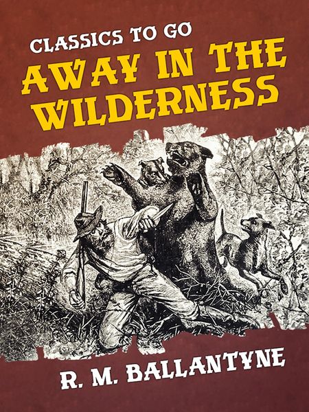 Produktbild: Away in the Wilderness