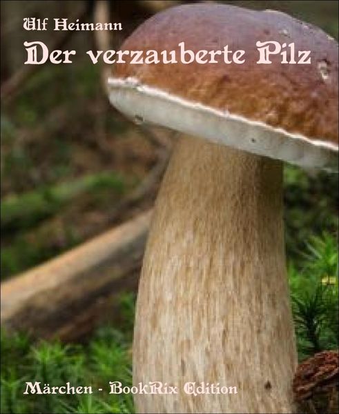Produktbild: Der verzauberte Pilz