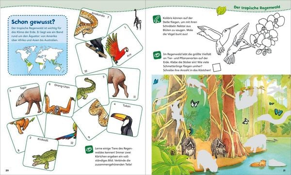 Produktbild: WAS IST WAS Junior Mitmach-Heft Wald