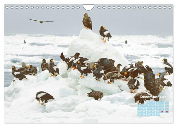 Produktbild: Japan: Entdecken Sie gelebte Tradition und einzigartige Naturwunder (Wandkalender 2027 DIN A4 quer), CALVENDO Monatskalender