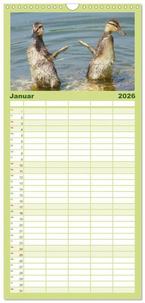 Produktbild: Familienplaner 2026 - Duck Power mit 5 Spalten (Wandkalender, 21 x 45 cm) CALVENDO