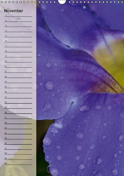 Produktbild: Immerw&auml;hrender Geburtstagskalender - Bl&uuml;tentr&auml;ume (Wandkalender immerw&auml;hrend DIN A3 hoch)