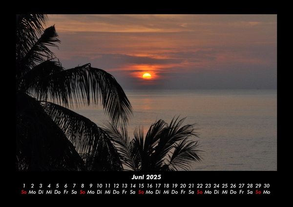 Produktbild: Palmentraum 2025 Fotokalender DIN A3