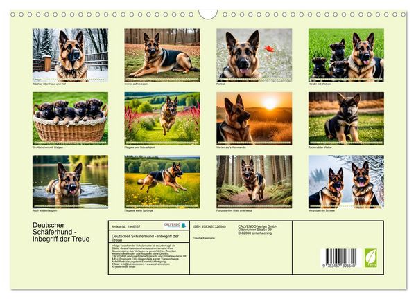Produktbild: Deutscher Sch&auml;ferhund - Inbegriff der Treue (Wandkalender 2026 DIN A3 quer), CALVENDO Monatskalender
