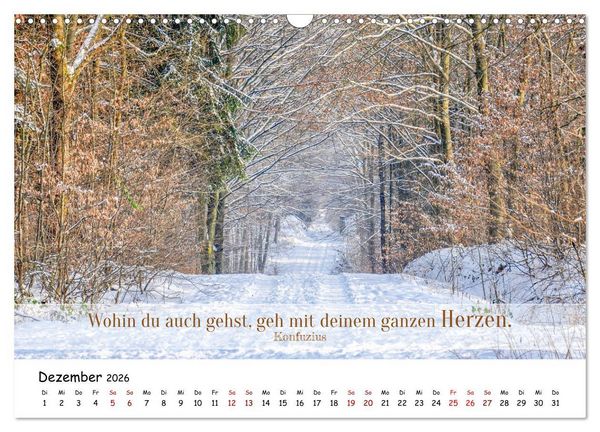 Produktbild: Lebensweisheiten, motivierende Spr&uuml;che und kluge Zitate mit Bildern der Natur (Wandkalender 2026 DIN A3 quer), CALVENDO Monatskalender