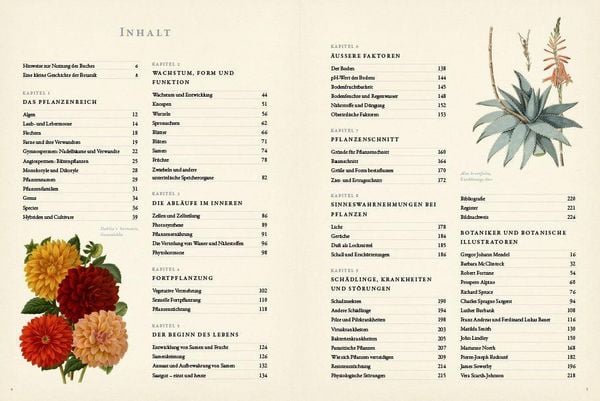 Produktbild: Botanik f&uuml;r G&auml;rtner