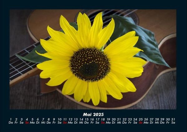 Produktbild: Blumenzauber 2025 Fotokalender DIN A4