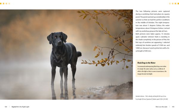 Produktbild: Dog Photography - Shooting with Bow "Wow" Effect
