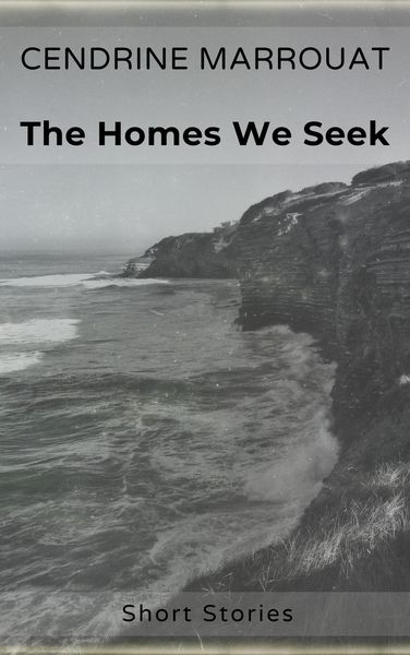 Produktbild: The Homes We Seek