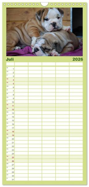Produktbild: Familienplaner 2026 - Bulldoggen-Kinder mit 5 Spalten (Wandkalender, 21 x 45 cm) CALVENDO