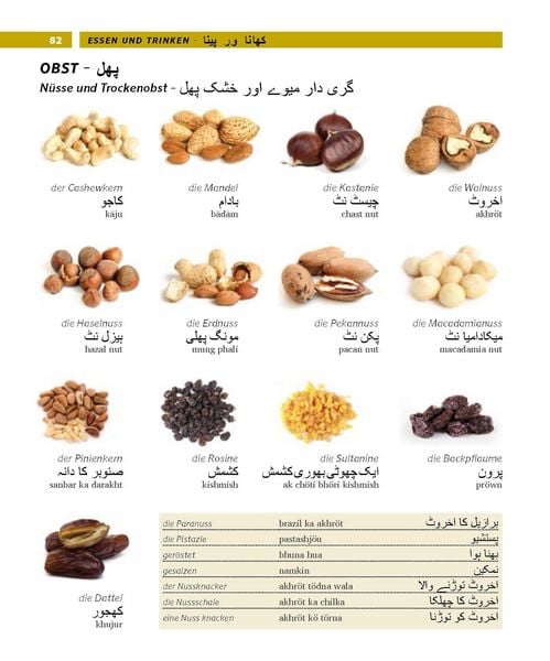 Produktbild: PONS Bildw&ouml;rterbuch Urdu