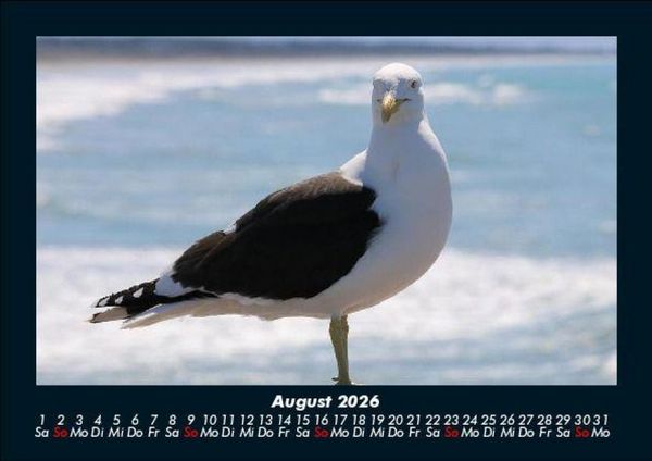 Produktbild: Vogelparadies 2026 Fotokalender DIN A5