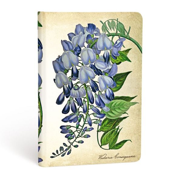 Produktbild: Hardcover Notizbuch Bl&uuml;hende Glyzinie, Mini, Liniert