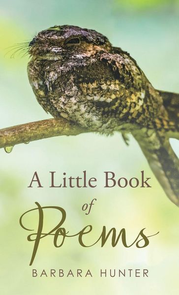 Produktbild: A Little Book of Poems