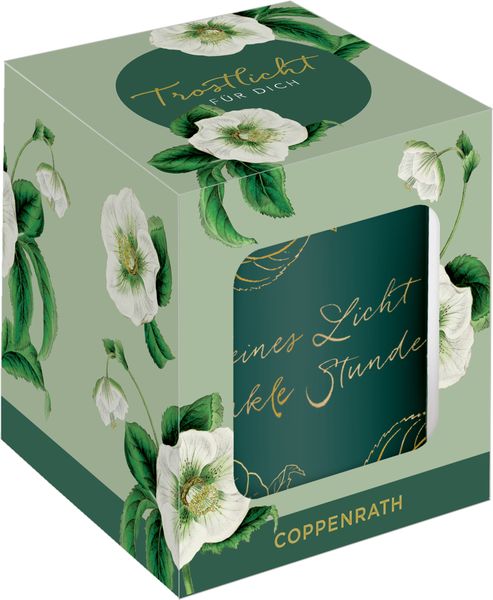 Produktbild: Trostwindlicht – Kleines Licht für dunkle Stunden