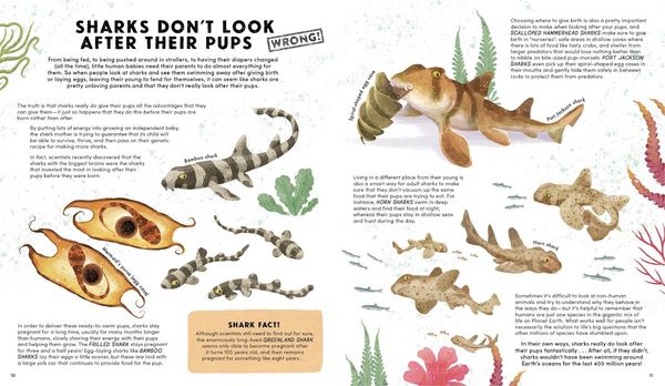 Produktbild: Everything You Know about Sharks Is Wrong!