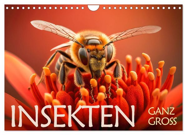 Insekten ganz gross (Wandkalender 2026 DIN A4 quer), CALVENDO Monatskalender