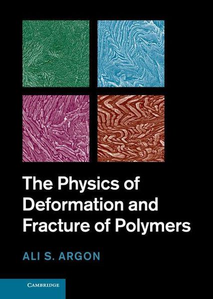 Produktbild: The Physics of Deformation and Fracture of Polymers