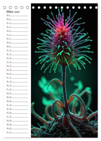 Produktbild: Leuchtende Mikroflora (Tischkalender 2026 DIN A5 hoch), CALVENDO Monatskalender