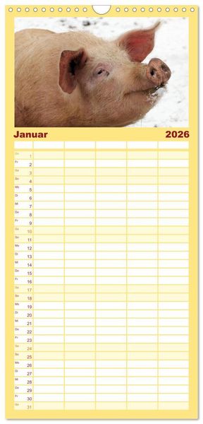 Produktbild: Familienplaner 2026 - Der Schweinekalender mit 5 Spalten (Wandkalender, 21 x 45 cm) CALVENDO